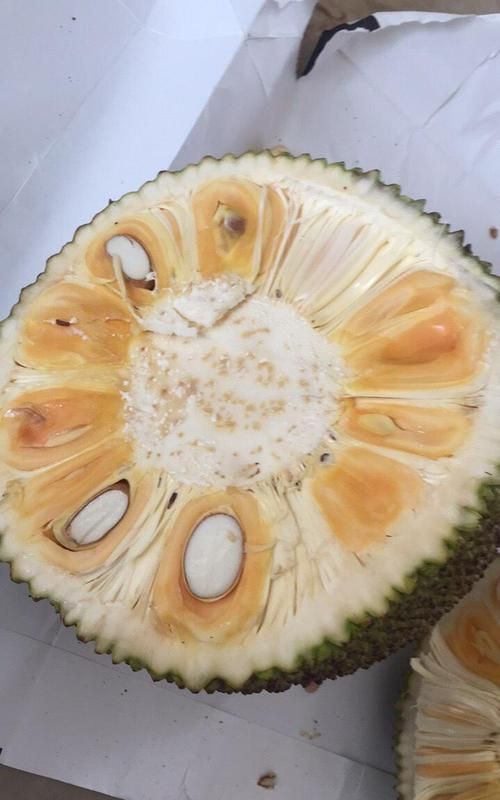 菠萝蜜变粘变滑了是坏了吗，菠萝蜜可以保存多长时间？图1