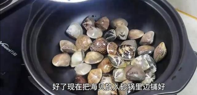 贝壳的做法怎样做好吃
，贝壳类海鲜怎么做好吃的啊？图8