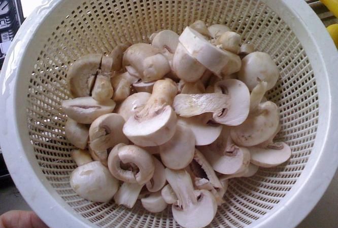 蘑菇怎么做好吃又简单
，自制鸡翅根炖蘑菇的做法怎么做好吃又简单？图1
