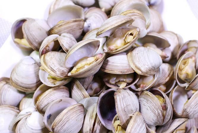 海鲜贝壳类有哪些
，贝壳类的海鲜有哪些营养价值？图2