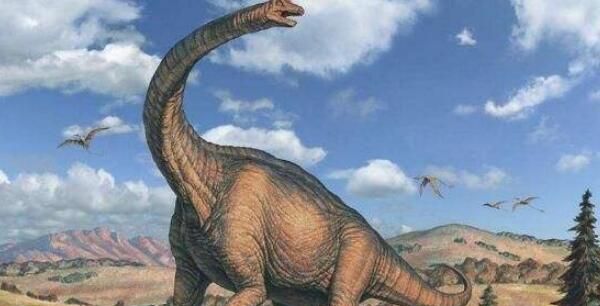 哪种恐龙脖子最长
，十种世界最高的恐龙？图1