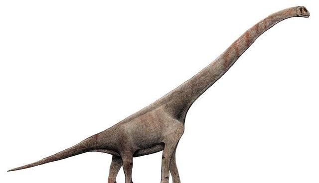 哪种恐龙脖子最长
，十种世界最高的恐龙？图2