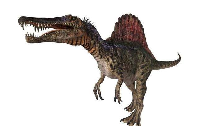 哪种恐龙脖子最长
，十种世界最高的恐龙？图3