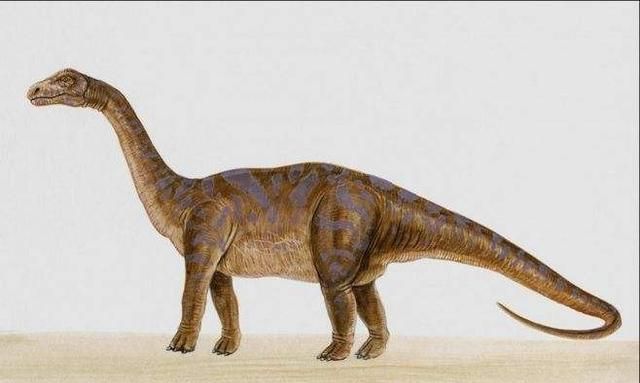 哪种恐龙脖子最长
，十种世界最高的恐龙？图4
