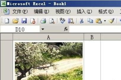 Excel怎样插入图表
，excel怎么插入比例图？图4