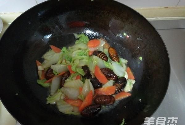 卷白菜跟胡萝卜怎么炒
，素三鲜，白菜，胡萝卜青椒怎么调饺子馅？图10