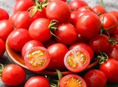 转基因西红柿更容易烂吗
，转基因西红柿与普通西红柿是不是属于同一种？为什么？图1