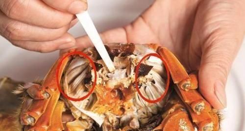 当天的死蟹可以吃吗
，刚死的螃蟹放冰箱冷藏有毒吗？图2