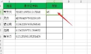 Excel 2007如何从18位身份证号中提取年龄信息
，Excel如何从身份证号提取出生年月、年龄、性别？图6