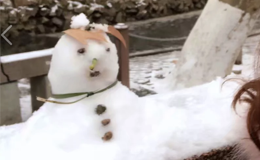 如何堆一个好看的雪人
，怎么堆好看的雪人小熊？图9