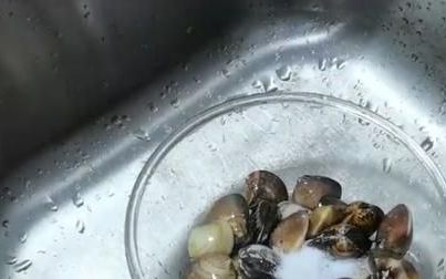 贝壳的做法怎样做好吃
，贝壳类海鲜怎么做好吃的啊？