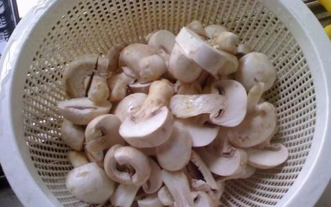 蘑菇怎么做好吃又简单
，自制鸡翅根炖蘑菇的做法怎么做好吃又简单？