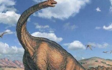 哪种恐龙脖子最长
，十种世界最高的恐龙？