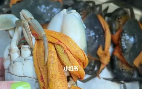 当天的死蟹可以吃吗
，刚死的螃蟹放冰箱冷藏有毒吗？