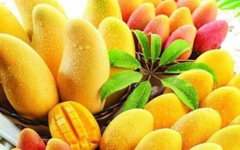 蛇皮果含糖量高吗
，泰国有什么比较著名的水果？