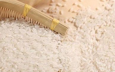 大米生虫怎么办？大米如何防虫，大米生虫怎么办？怎么储存大米防止生虫？
