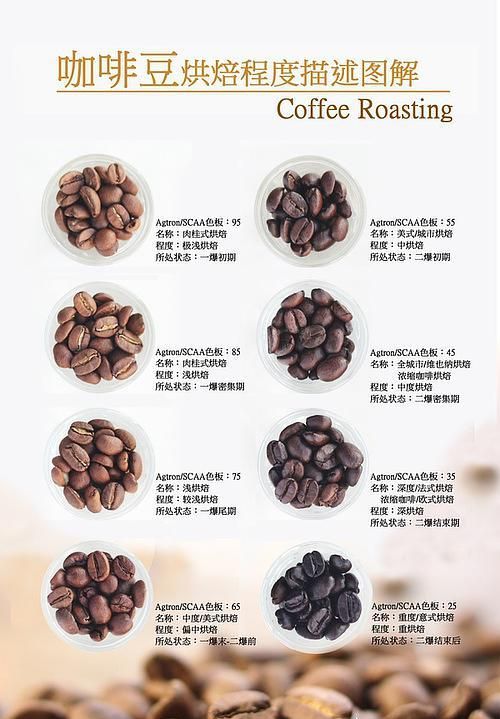咖啡豆自己如何磨成咖啡粉
