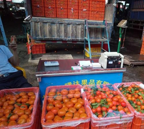 杭州最大的水果批发市场在哪里，求详细地位