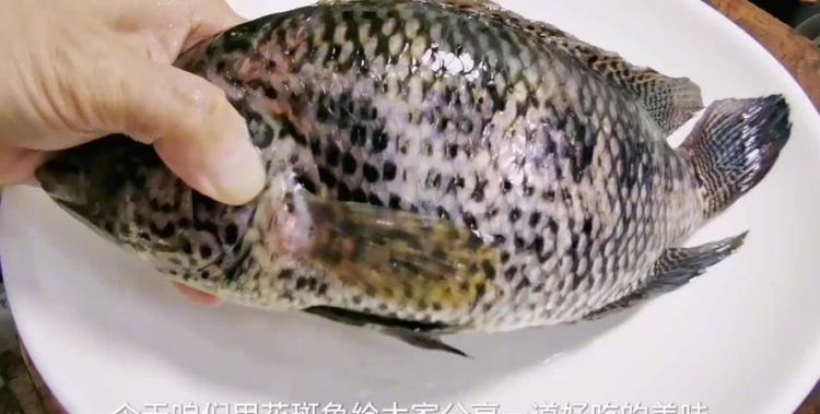 花斑鲤鱼怎么做好吃