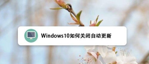 windows组织禁止自动更新怎么打开